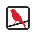 Red Canary